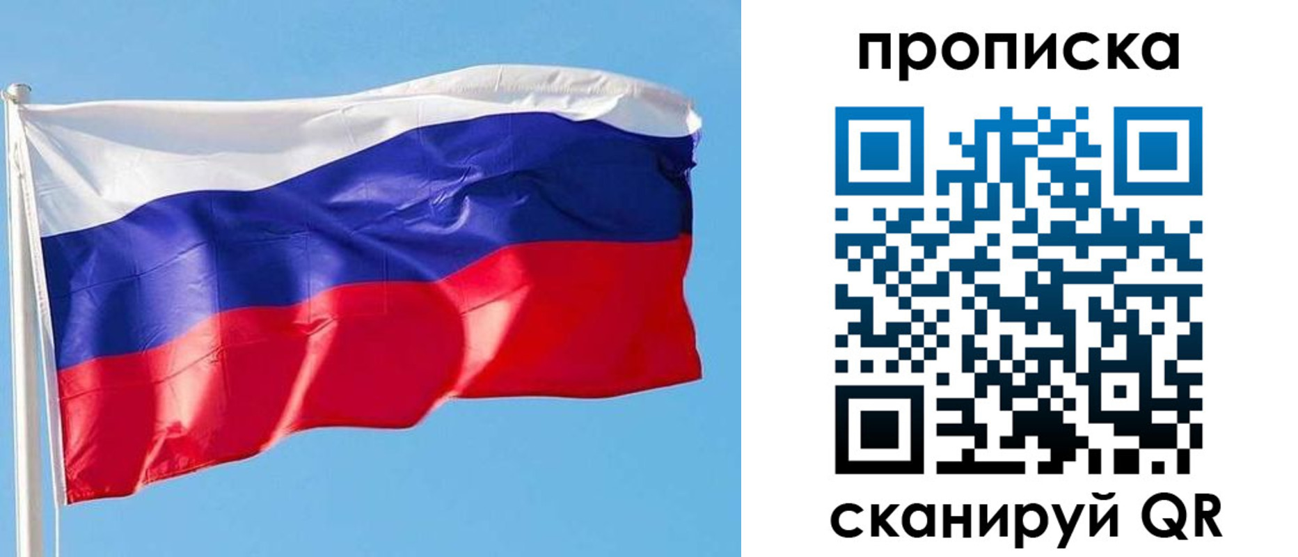 прописка поиск в Ермолино