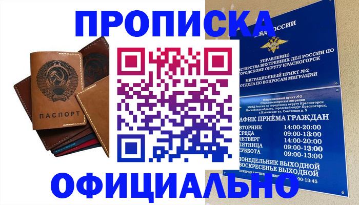 временная прописка в Ермолино